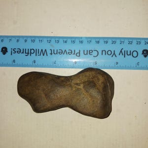 以下が含まれることがあります： 茶色で風化した石の遺物で、不規則な形をしており、おそらく道具または古代の工芸品の一部です。「Only You Can Prevent Wildfires!」というテキストが入った青い定規が背景にあります。