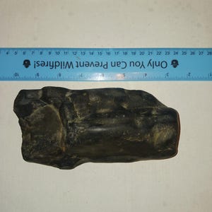 May include: A dark, irregularly shaped rock, possibly a fossil, is positioned on a white surface. A blue ruler with the text "Only You Can Prevent Wildfires!" is placed above the rock. The rock's length is approximately 10 inches.