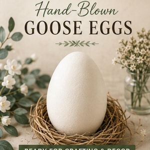 JUMBO Hand-blown GOOSE Eggs