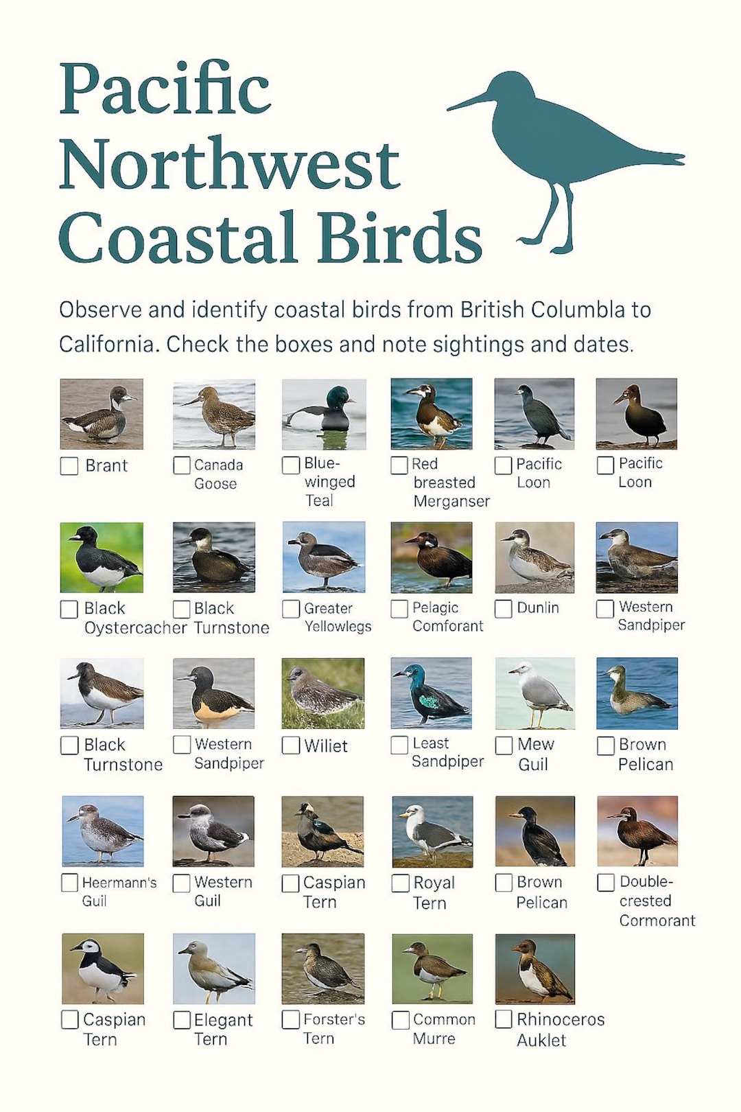 Birdwatching Checklist/log - Pacific Coast Birds - Etsy