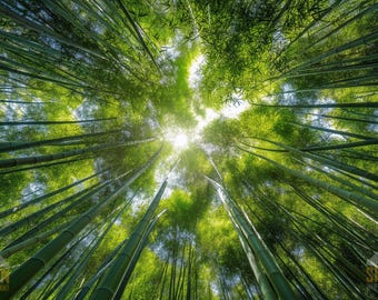 Sustainable Eco-Friendly Design Wallpapers | 20 Unique and Premium 3K JPG Backgrounds (Desktop + Mobile) | Digital Download, Commercial Use