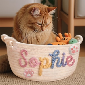 May include: A fluffy orange cat sits in a cream-colored woven basket. The basket is decorated with the name "Sophie" in colorful yarn letters and paw print accents. The basket contains several small plush toys.