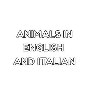 May include: A white background with the text "ANIMALS IN ENGLISH AND ITALIAN" in a bold, outlined font. The text is arranged in three lines: "ANIMALS IN" at the top, "ENGLISH" in the middle, and "AND ITALIAN" at the bottom.