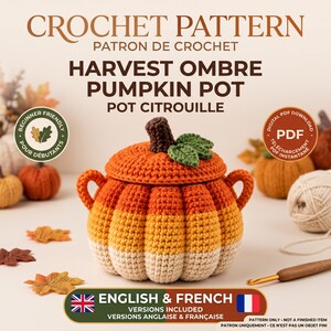 Crochet Pumpkin Pot Pattern PDF, Ribbed Lidded Basket, Fall Autumn Decor, Thanksgiving Dish Tutorial | English & French Version