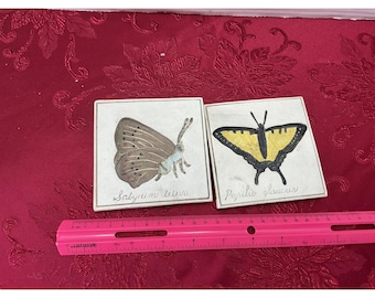 Juego de 2 baldosas de mariposa Hen-Feathers Satyrium Titus Papilio Glaucus de piedra fundida