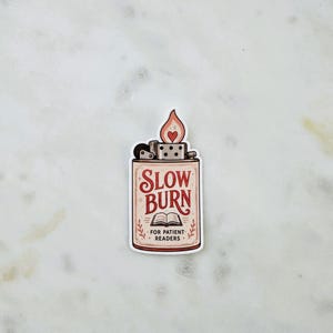 Romance Trope Vinyl Stickers, Slow Burn, One Bed, Enemies to Lovers Slow Burn Lighter