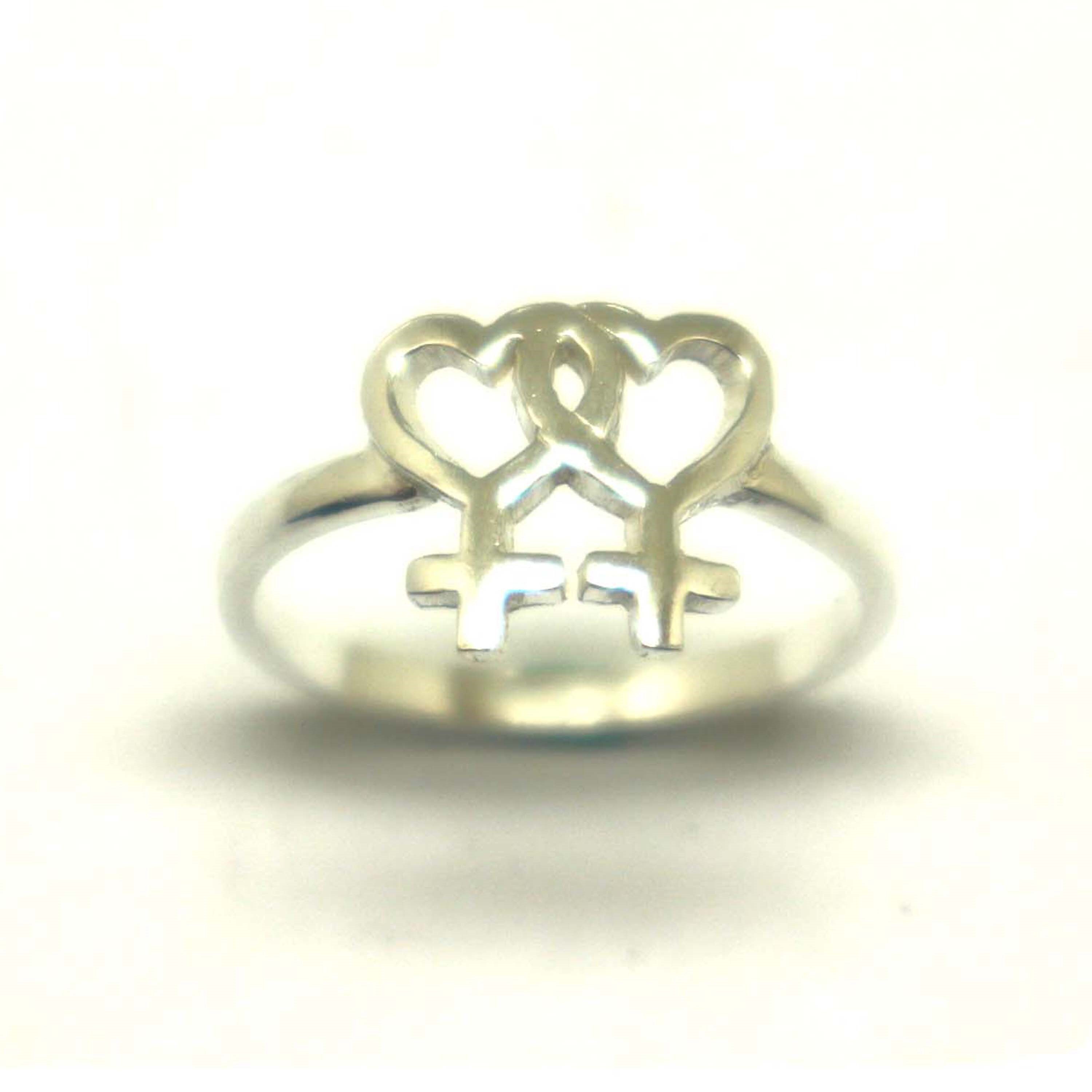 Silber Lesbischer Ring Lgbt Pride Schmuck Gay Pride Etsy