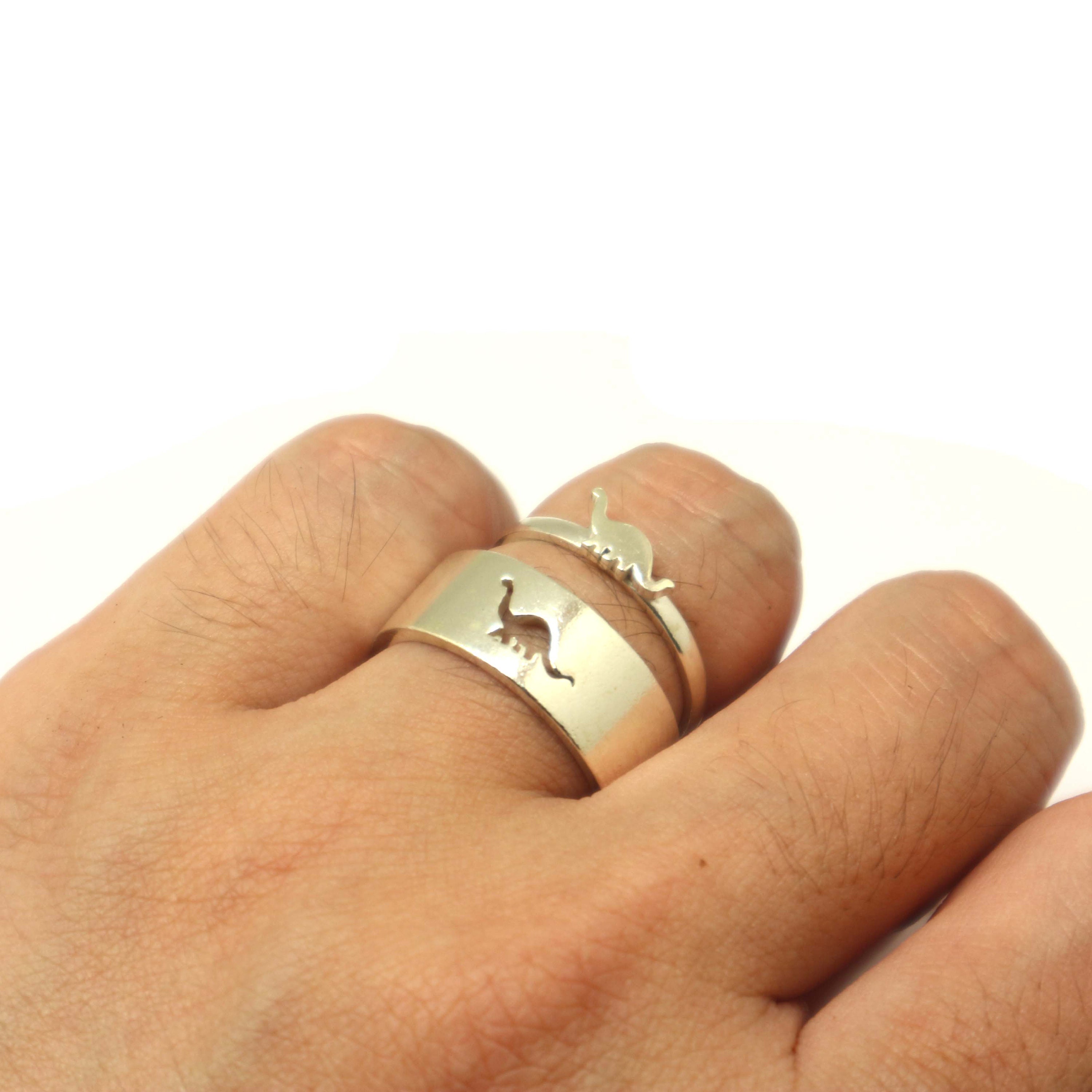Set de anillos promesa dinosaurio – Zubeor