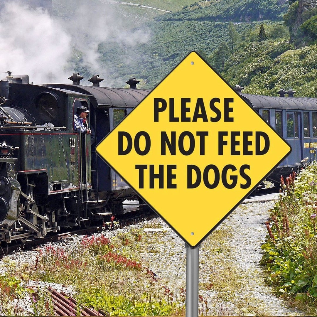 Please Do Not Feed the Dog Aluminum Dog Sign No Food Attention Etsy