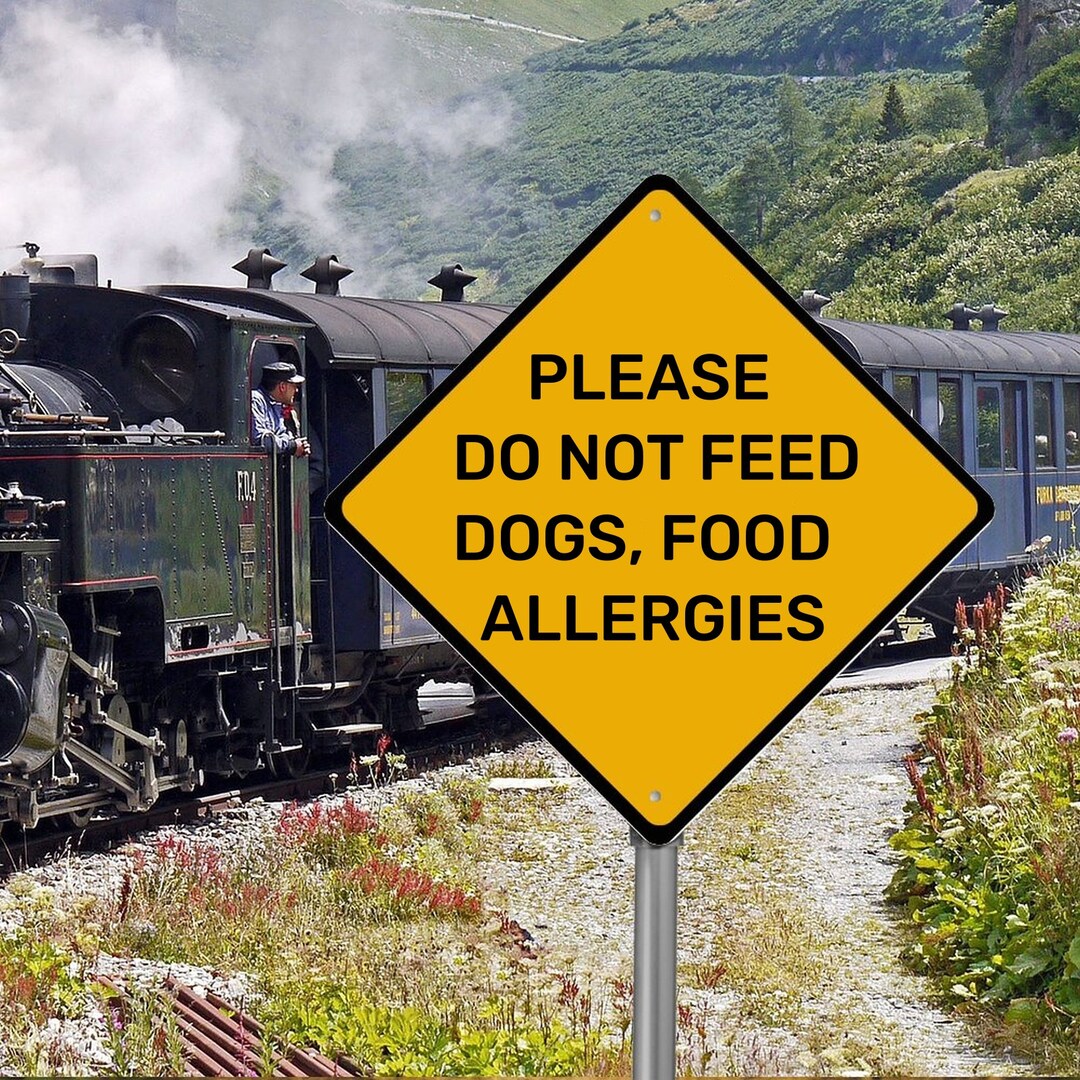 Please Do Not Feed Dogs Food Allergies Aluminum Dog Etsy
