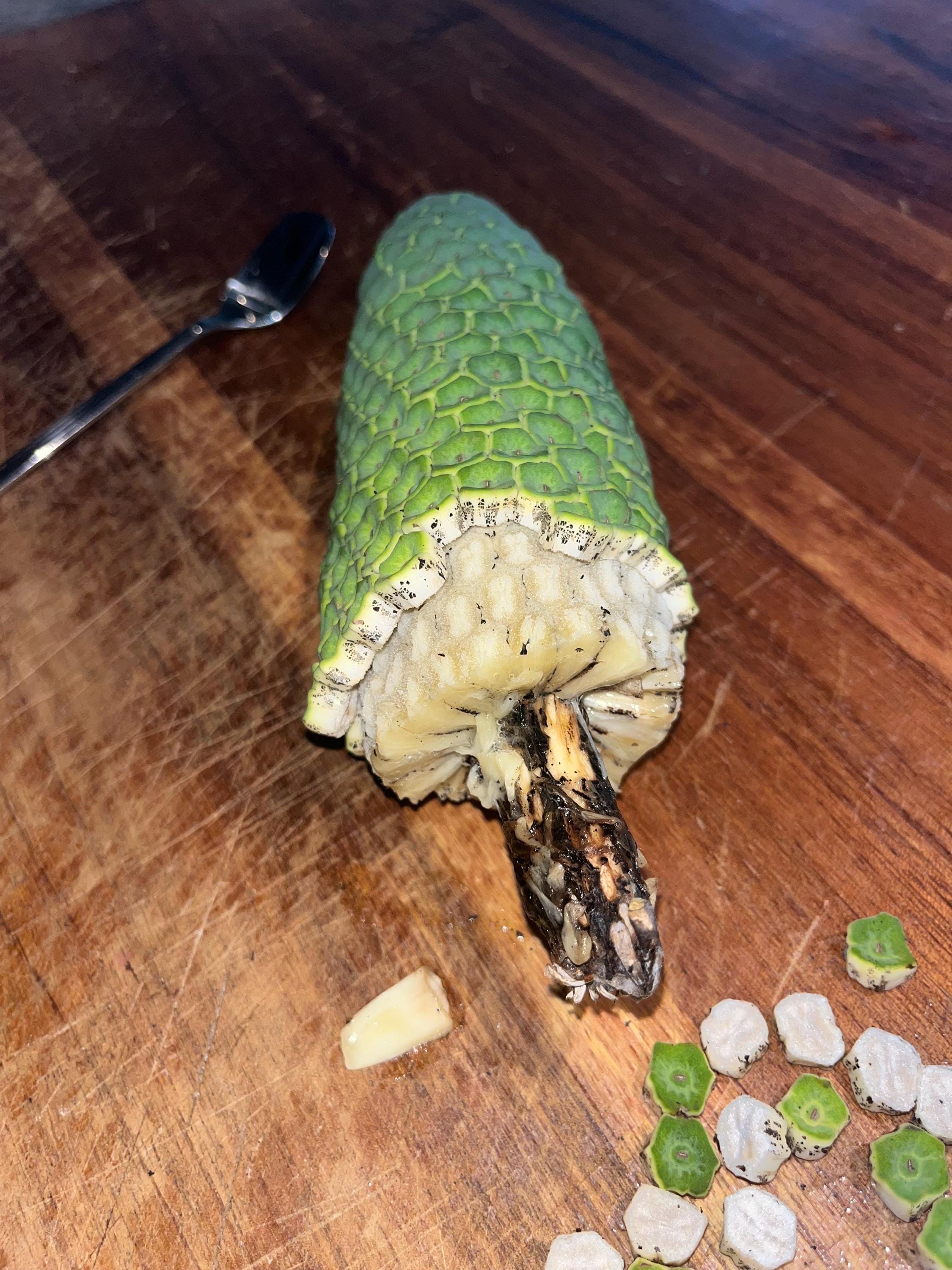 Organische Monstera Deliciosa Frchte aus Hawaii. Sofort bestellbar!! -  Etsy.de