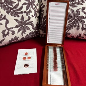 Viral Dexter Inspired Blood Slide Trophy Box - Customizable & Handmade