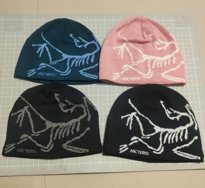 Tuque tête d'oiseau Arcteryx Bonnet en laine mérinos : bleu rose noir ...