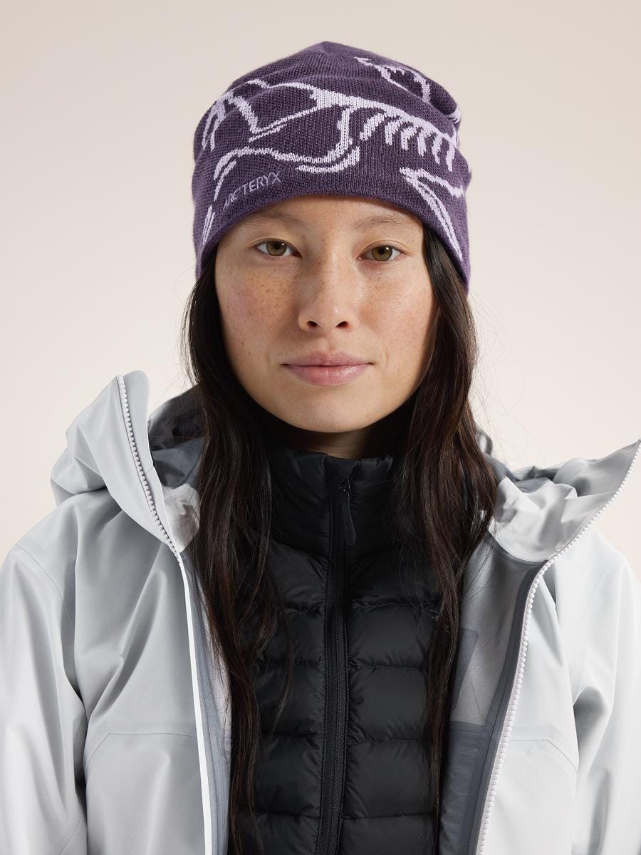 送料無料 ARC'TERYX バードヘッドトーク fw26 正規品 NWOT ビーニー 新