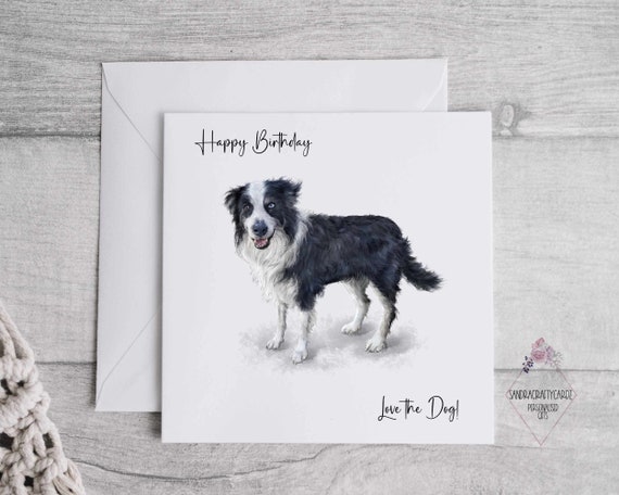 Border Collie Umbrella 2 - Automatic Suzanna Border Collie Umbrella 2 - Automatic Suzanna