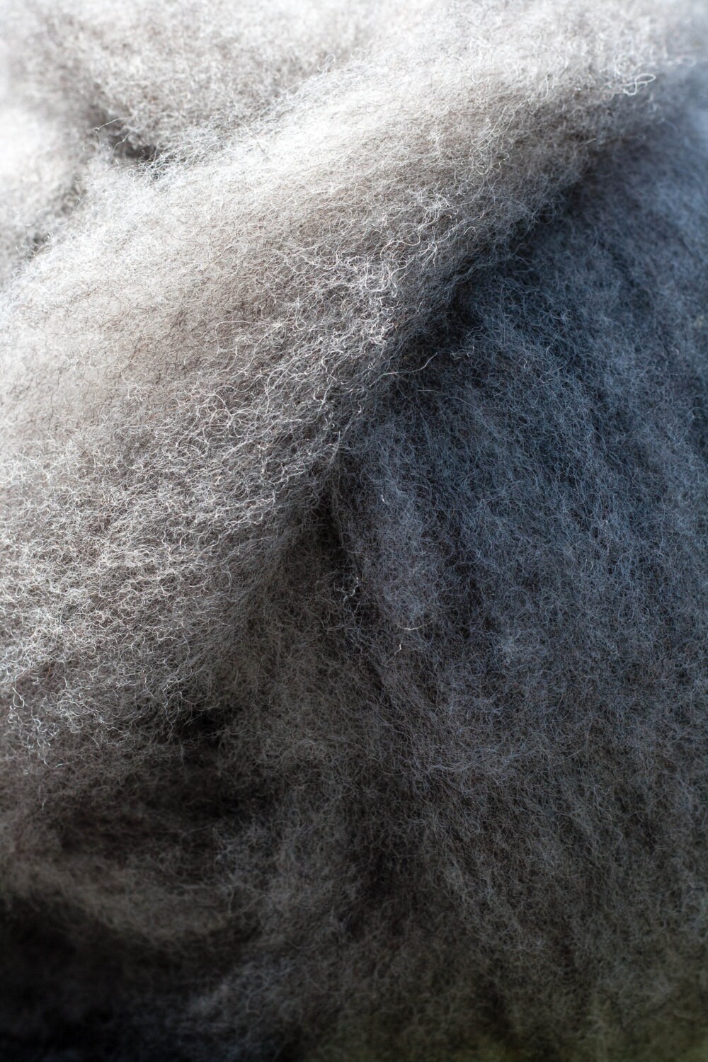 Jacob Wool Roving Etsy