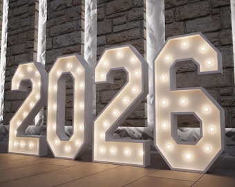 Custom Marquee Numbers Big LED Light Up, Large Lighted Numbers for Birthday Wedding, Anniversary Age Sign, Photo Backdrop Decor 2ft 3ft