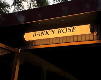 May include: Illuminated sign for "BANK'S ROSE" in a warm, inviting glow. The sign is rectangular with rounded edges, mounted under a dark brown awning. The text is in a classic serif font, suggesting a vintage or established business.