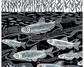 Art Print: St.Ffraid's Fishes ART Print of Scraperboard original