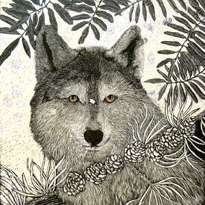 Art Print: Wolf in Larch Boughs Art Print from original Scraperboard