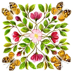 Butterflies - Painted Ladies and wild Roses Greetings Card.
