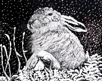 Art Print: Hare in the Snow from original Scraperboard
