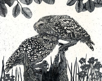 Art Print: Burrowing Owls on a Hollow Log from Scraperboard Original