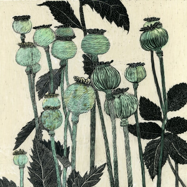 Art Card: Blue Poppy Seed heads from original Scraperboard design