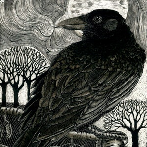 Art Print Ltd Ed: Raven Moon - Impresión artística del Scraperboard original