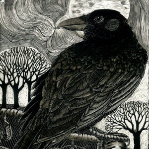 Art Print: Raven Moon - Fine Art Print from the original Scraperboard