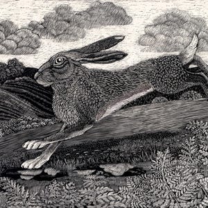 Art Print Ltd Ed: Running Hare - Fine Art Print from an original Scratchboard design