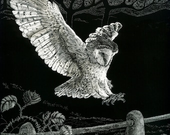 Art Print: Barn Owl Landing /Caught in flight Fine Art Print of original Scraperboard
