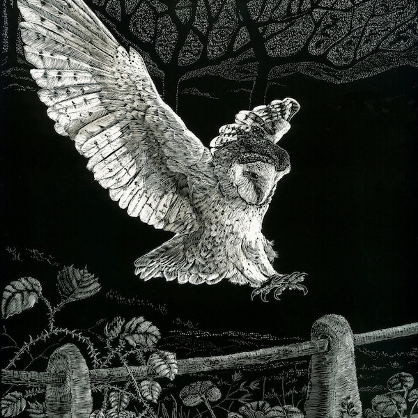 Art Card: Caught in Flight - Barn Owl -   original Scraperboard Blank