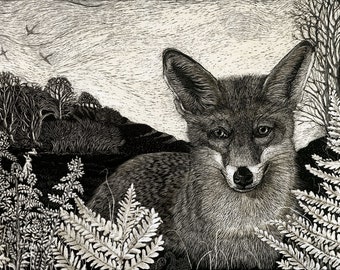 May include: A black and white illustration of a fox peering out from behind ferns. The fox has a bushy tail and a pointed snout. The background is a light gray with a few birds flying in the sky.