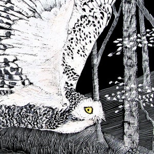 Art Print: Snowy Owl in Birch wood Art Print of Scraperboard Original image 5