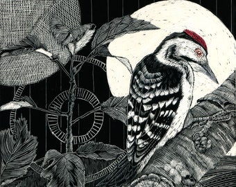 Art Card: Woodpecker from Scraperboard Original