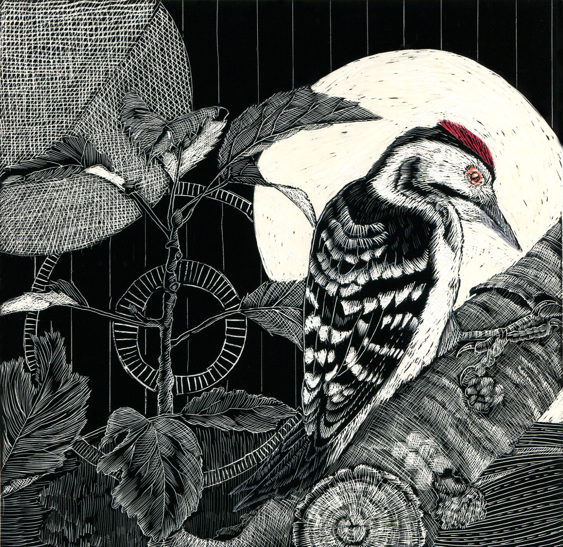 Adult Scratch Art Etsy UK