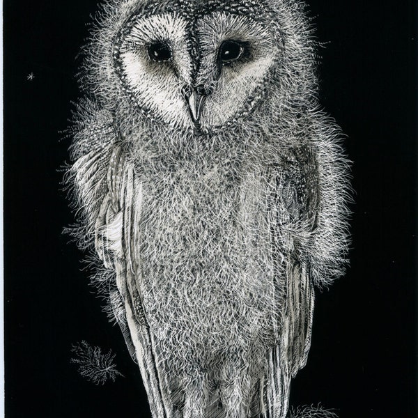 Art Card: Baby Barn Owl from original Scraperboard