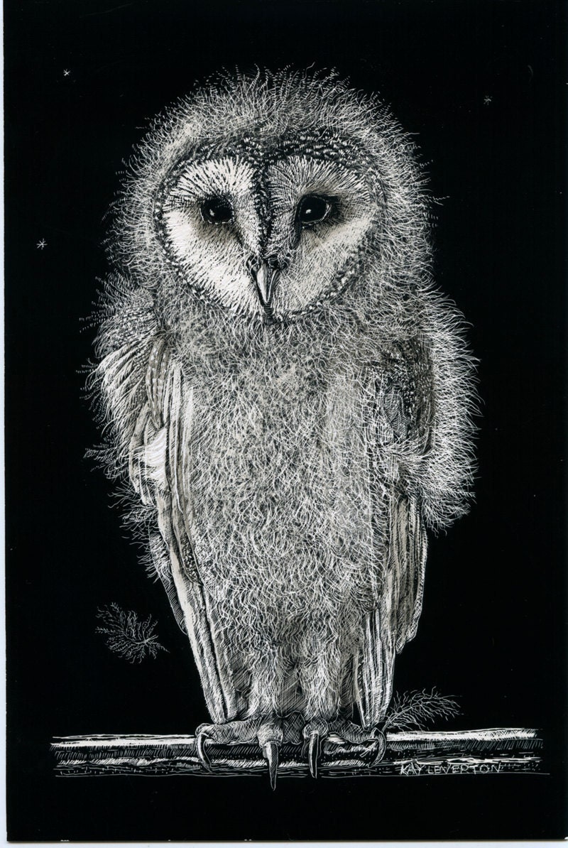 Barn Owl Baby Art Card from original Scraperboard  by Kay Leverton