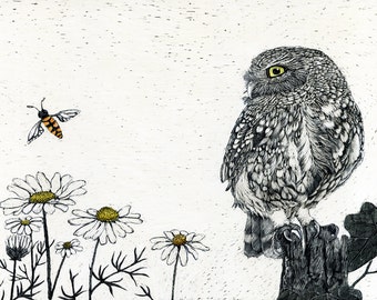 Art Print: Burrowing Owl in Daisies from original Scraperboard