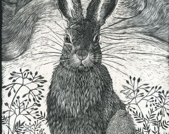 Art Print: Hare in the grass Fine Art Print from Scraperboard Original