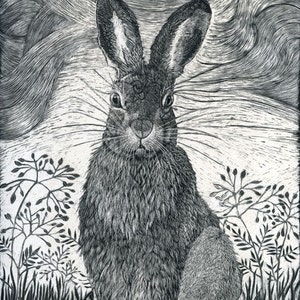 Art Card: Hare in the Grass from a Scraperboard original