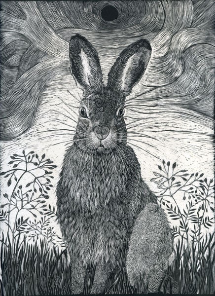 Hare in the Grass Art Greeting Card of Scraperboard original