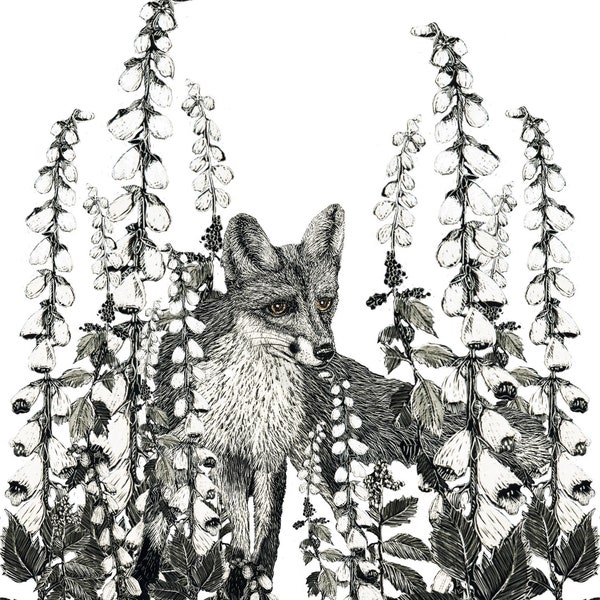 Art Card: Fox amongst the Foxgloves from Original Scraperboard