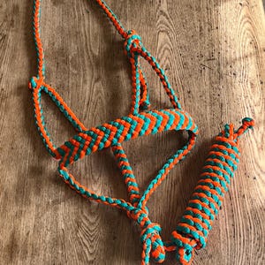 Könnte beinhalten: Ein Pferdehalfter mit Führstrick aus geflochtenem Stoff in abwechselnd leuchtendem Orange und Türkis. Das Halfter besteht aus einem Nasenriemen, Backenstücken und einem Genickriemen, während der separate Führstrick ebenfalls im gleichen Muster geflochten ist.