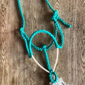 Classic Braided or Lariat Noseband Muletape Halter, Customizable Colors & Patterns, Halter Only