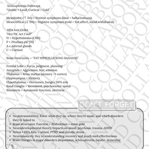 Może przedstawiać: Biała strona z tytułem "NEUROBIOLOGY & PSYCHOPATHOLOGY" i szczeg&oacute;łowymi notatkami na temat struktur m&oacute;zgowych, szlak&oacute;w i neuroprzekaźnik&oacute;w. Zawiera tekst "DON'T FORGET" i "HIGH YEILD".