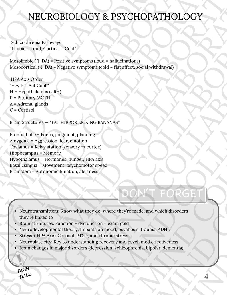 Może przedstawiać: Biała strona z tytułem "NEUROBIOLOGY & PSYCHOPATHOLOGY" i szczeg&oacute;łowymi notatkami na temat struktur m&oacute;zgowych, szlak&oacute;w i neuroprzekaźnik&oacute;w. Zawiera tekst "DON'T FORGET" i "HIGH YEILD".