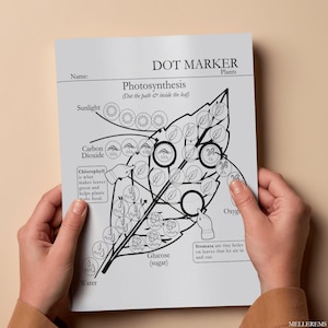Pode incluir: Uma folha de trabalho educacional em preto e branco intitulada "DOT MARKER Plants" com um diagrama de folha ilustrando a fotoss&iacute;ntese. O diagrama inclui r&oacute;tulos para luz solar, di&oacute;xido de carbono, clorofila, &aacute;gua, oxig&ecirc;nio e glicose.