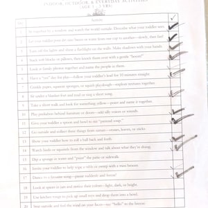 May include: A white paper document titled 365 Days with My Toddler: Indoor, Outdoor, & Everyday Activities (Age 1-3 Yrs) held by a black binder clip. The page features a numbered list of twenty activities with handwritten checkmarks next to most items.